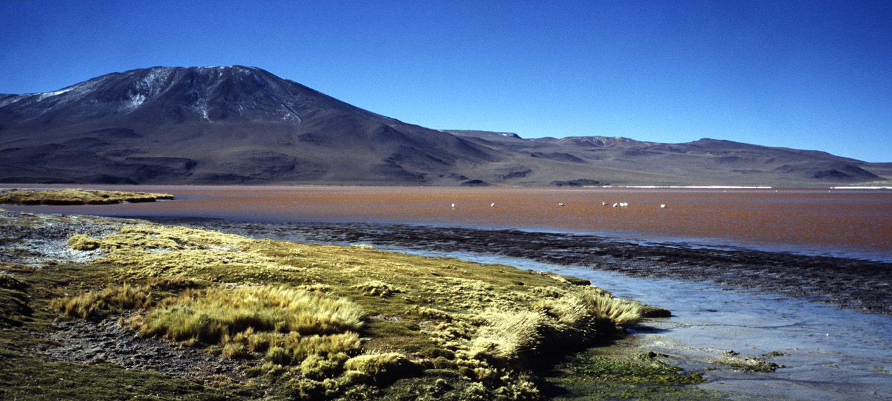 chi_6_31 colorada pano.jpg - Sud Lipez - lagunes laguna Colorada arc-en-terre de couleurs !
